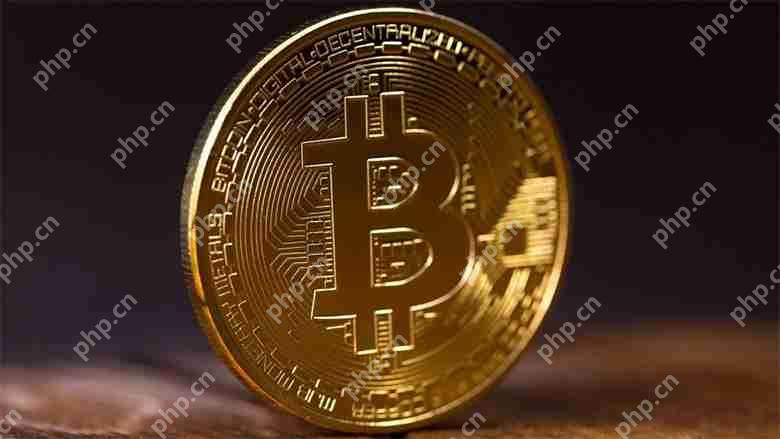 比特币有望创历史新高:深入探讨2025年的看涨前景